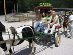 Terminio: un giro a cavallo