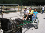 Terminio: un giro a cavallo