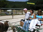 Terminio: un giro a cavallo