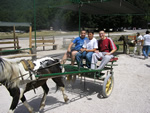 Terminio: un giro a cavallo