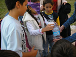 mosca cieca